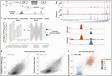 DeepSTARR predicts enhancer activity from DNA sequence and